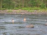 Sweden 2006-07 107